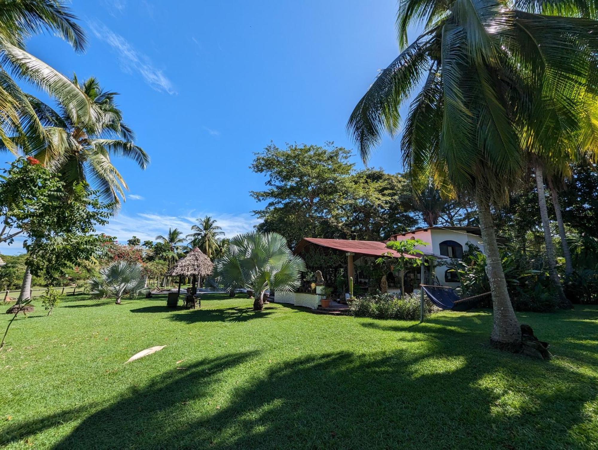Spirit Of Jungle Lodge Sámara Kültér fotó